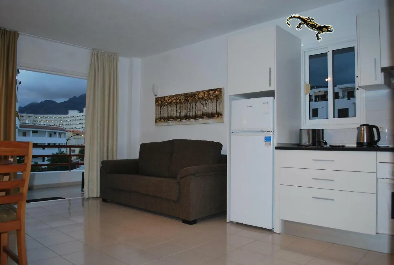 Apartment La Arena Beach Puerto de Santiago  Spain